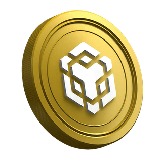 Pagina della guida per i nuovi trader con la moneta criptovaluta Binance BNB